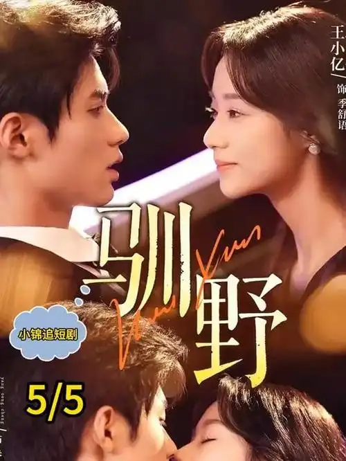 99在线视频观看-剧集市场年度观察